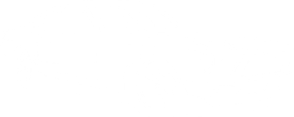 Pete's Used Cars for Sale